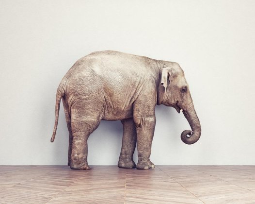 文章样式五：视频列表